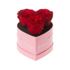 AMOURA HS - ANNIVERSARY COLLECTION