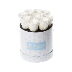 ORVINI BLOOM - ANNIVERSARY COLLECTION