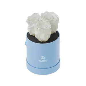 TRIVELLE BLOOM - FUNERAL COLLECTION