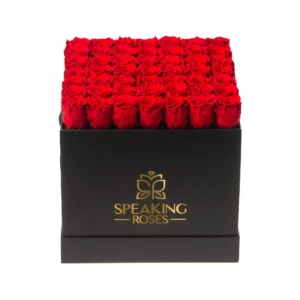 SOVELLE LLO - WEDDING COLLECTION