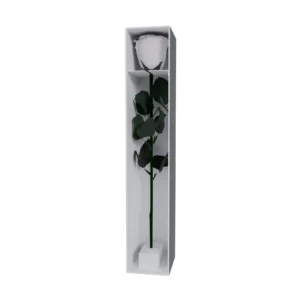 MAJESTUOSO - FUNERAL COLLECTION